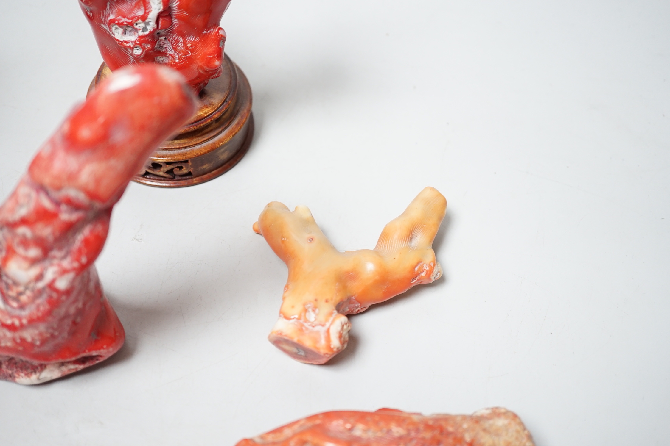 Five Chinese coral fragments